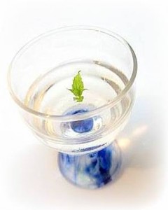 水ゼリー1