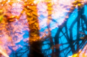 a1380_001668